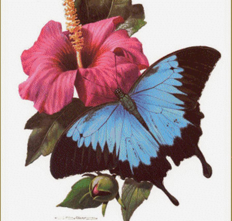 бабочка - цветы, бабочка - предпросмотр