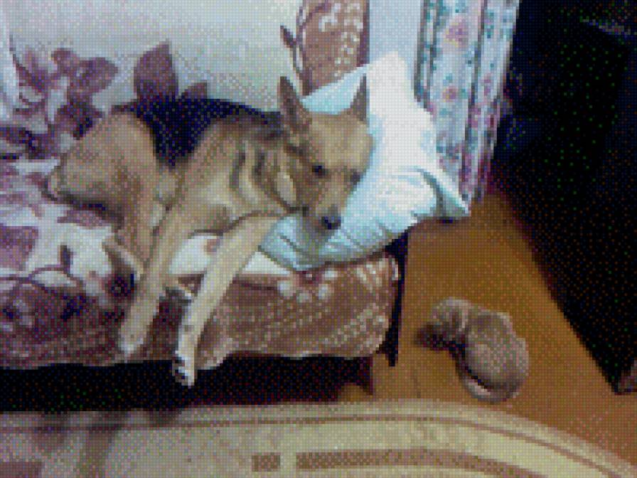 121 - предпросмотр