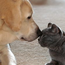 Схема вышивки «126»