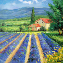 Лавандовое поле