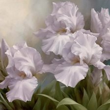 Схема вышивки «цветок»