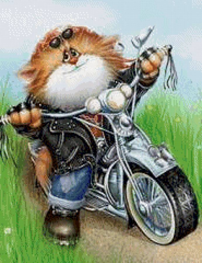 кот мотоциклист - предпросмотр