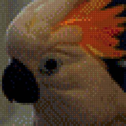 какаду - попугай, какаду, птица - предпросмотр