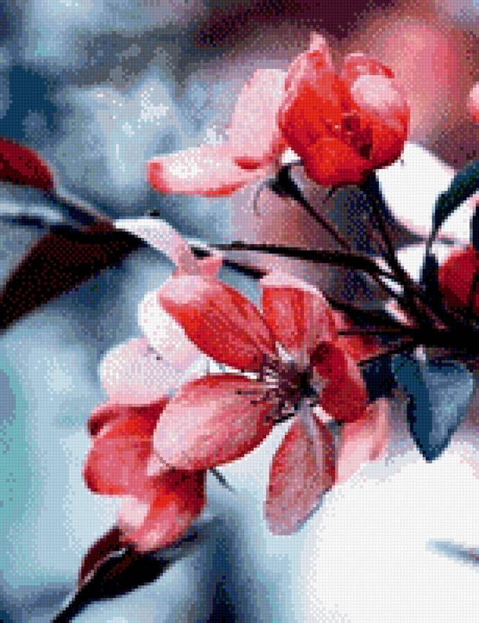 Цветы - предпросмотр