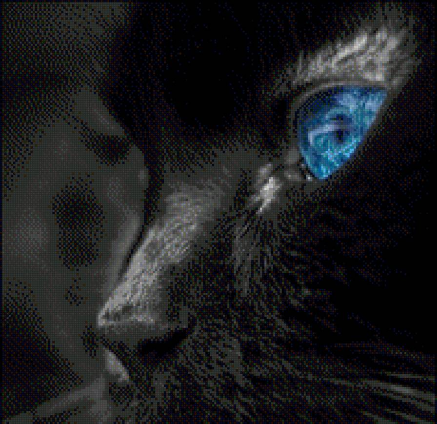 чёрный кот - кот, кошки - предпросмотр