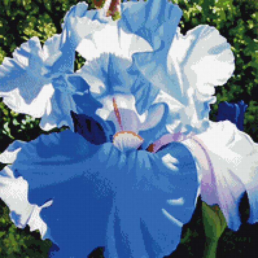 Цветок - природа, цветы - предпросмотр