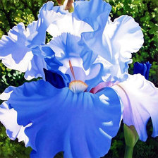 Схема вышивки «Цветок»