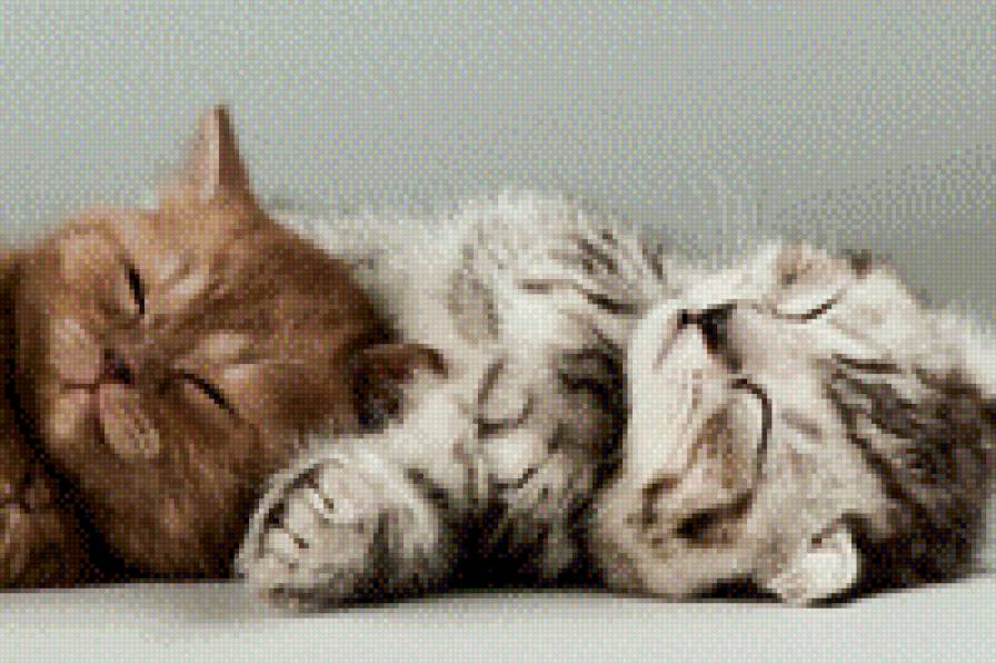 131 - предпросмотр