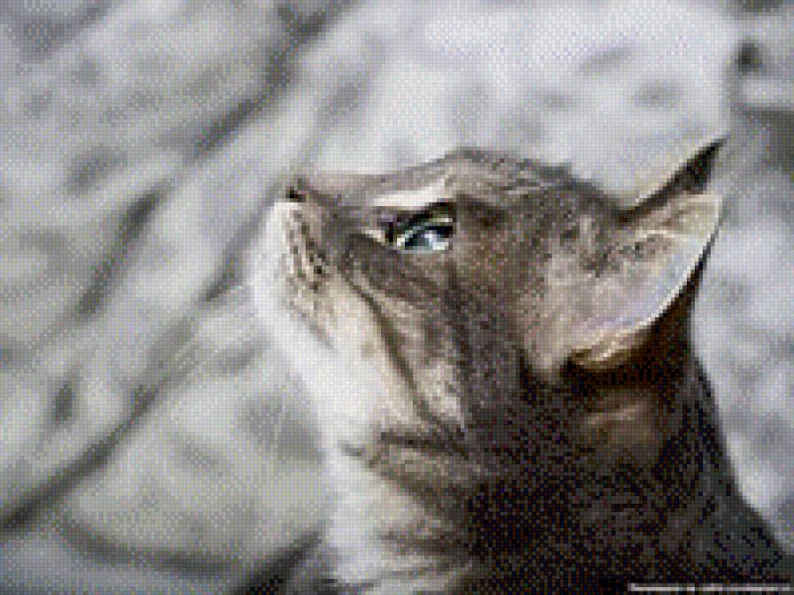 133 - предпросмотр