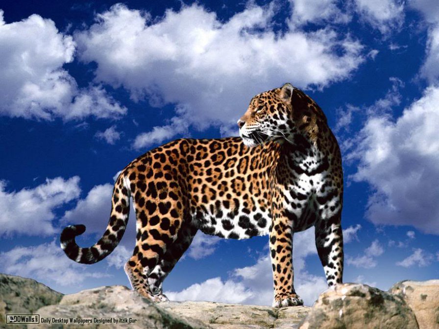 138 - оригинал