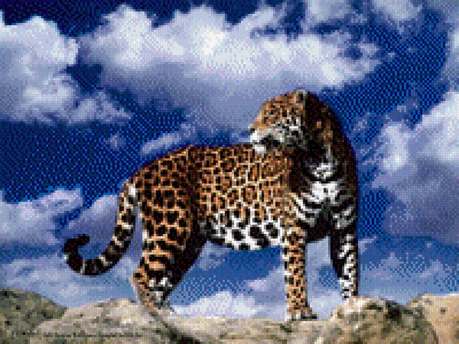 138 - предпросмотр