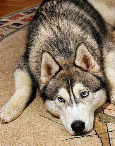 139 - оригинал