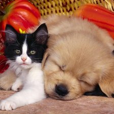 Схема вышивки «140»