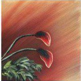 маки 4 триптих - оригинал