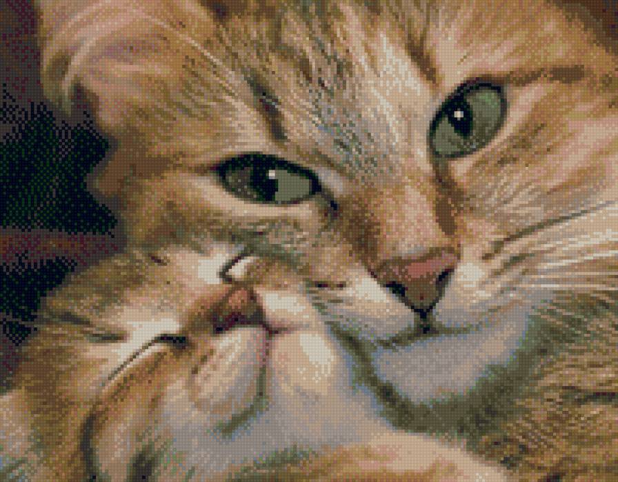 нежность - животные - предпросмотр