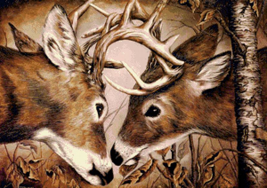 Серия "Дикая природа" - предпросмотр