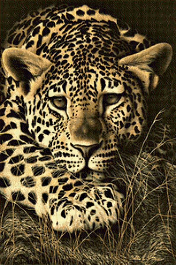 Серия "Дикая природа" - предпросмотр