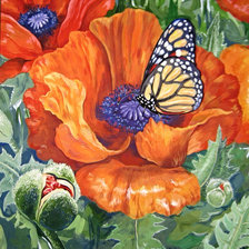 Схема вышивки «мак»