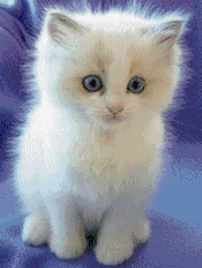 №981080 - звери, кошки, животные, котенок - предпросмотр