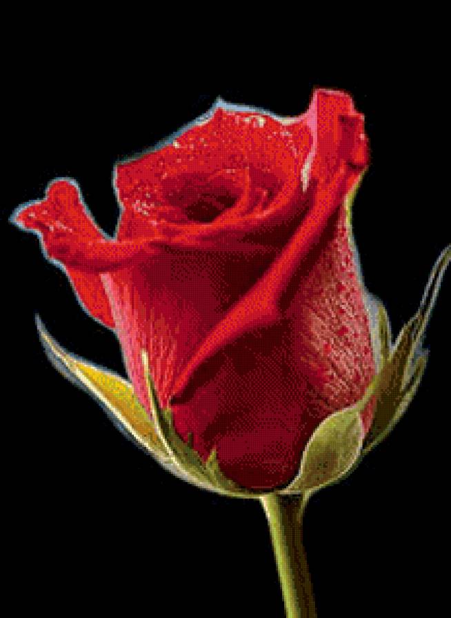 №981395 - предпросмотр