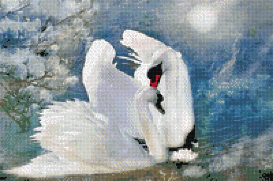 Лебеди - животные - предпросмотр