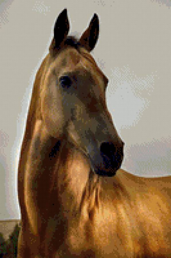 №981424 - предпросмотр