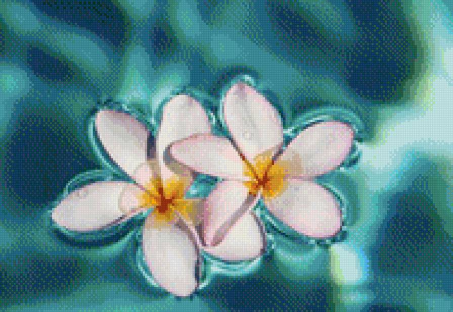 №981492 - цветы - предпросмотр