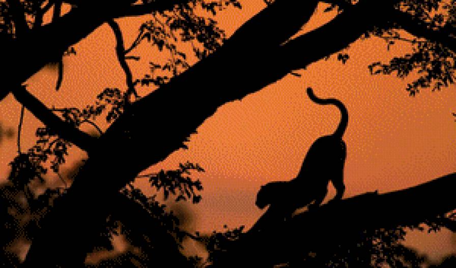 Леопард - ветки., леопард, кот - предпросмотр