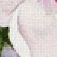 Предпросмотр схемы вышивки «Нежные цветочные акварели Ryu Eunja № 1» (№981944)