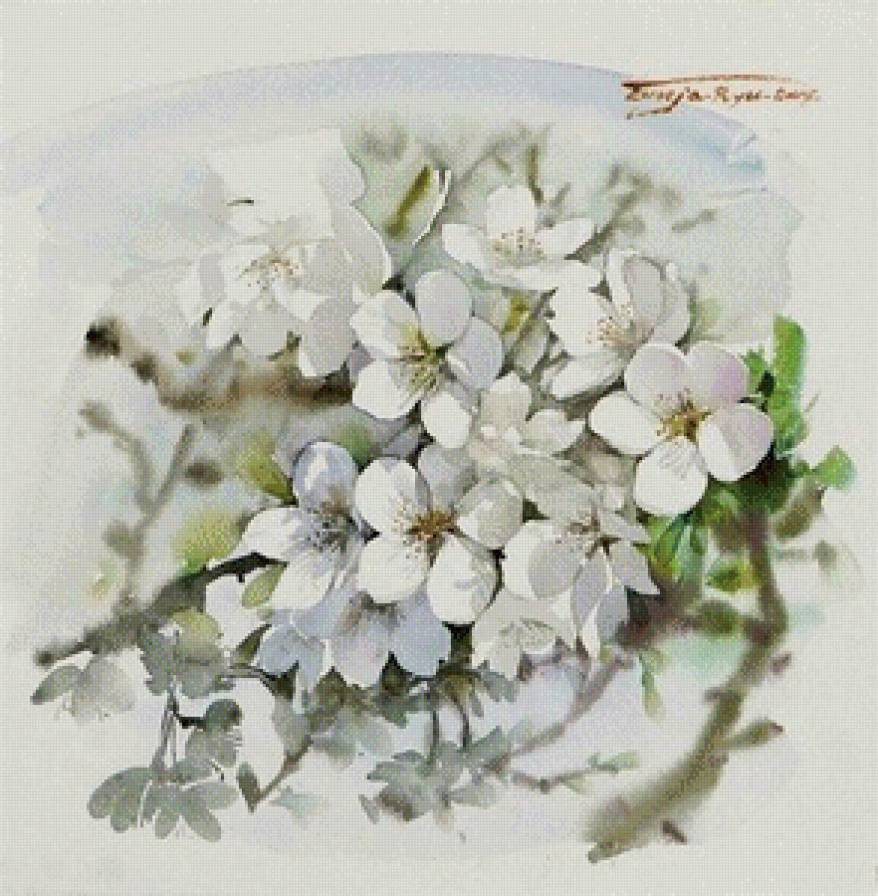 Нежные цветочные акварели Ryu Eunja № 8 - цветы, картина, искусство, живопись - предпросмотр