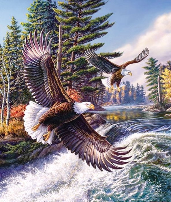 Орлы над водопадом - пейзаж, орлы, водопад, птицы - оригинал