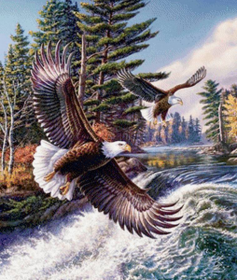 Орлы над водопадом - орлы, пейзаж, водопад, птицы - предпросмотр