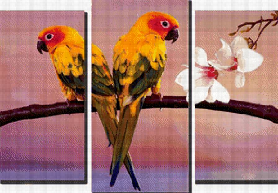 Неразлучники - птицы, триптих - предпросмотр