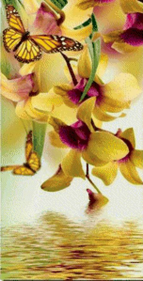 цветы и бабочка - цветы, бабочка - предпросмотр
