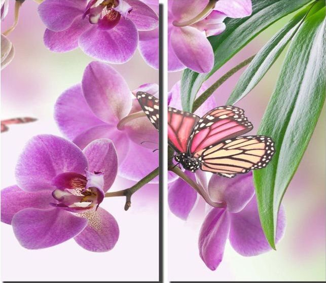 цветы и бабочка - диптих, цветы, бабочка - оригинал