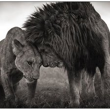 Вместе навсегда