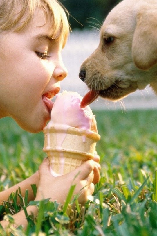 серия "дети с живностями" - дети.животные.собака - оригинал