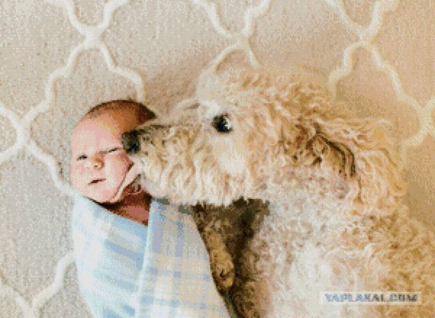 серия "дети с живностями" - дети.животные.собака - предпросмотр