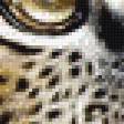 Предпросмотр схемы вышивки «леопард» (№982563)
