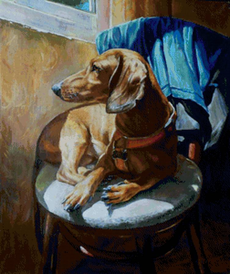 братья меньшие - предпросмотр