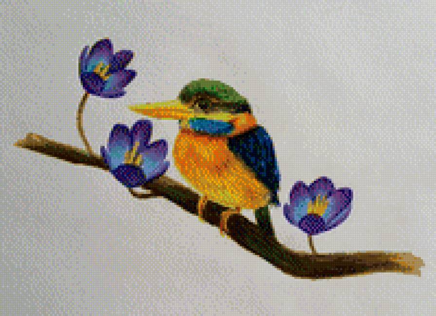 птица 1 - птица, экзотика - предпросмотр