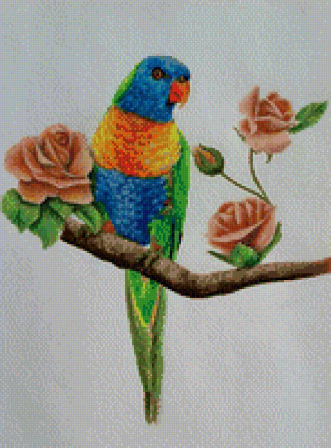 птица 2 - экзотика, птица - предпросмотр