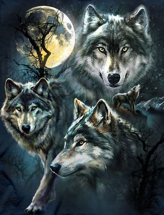 3 волка - оригинал