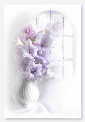 букет - цветы - оригинал