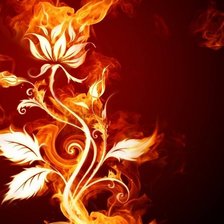 Схема вышивки «Огненный цветок-5»