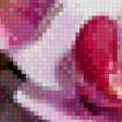 Предпросмотр схемы вышивки «розовая орхидея» (№983286)