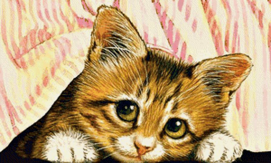 Домашние любимцы - котенок - предпросмотр