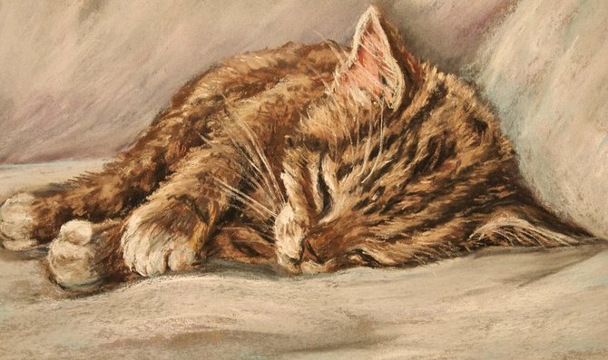Домашние любимцы - спящий котенок - оригинал