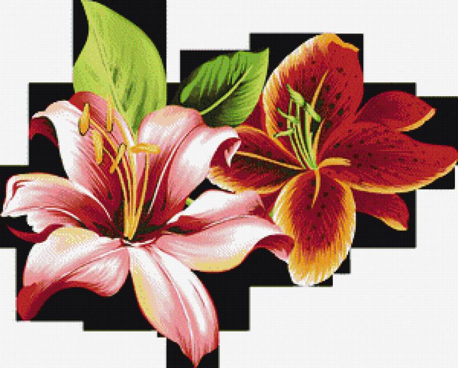 лилии - цветы.лилии - предпросмотр