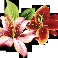 Схема вышивки «лилии»